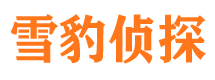 台州市私家侦探